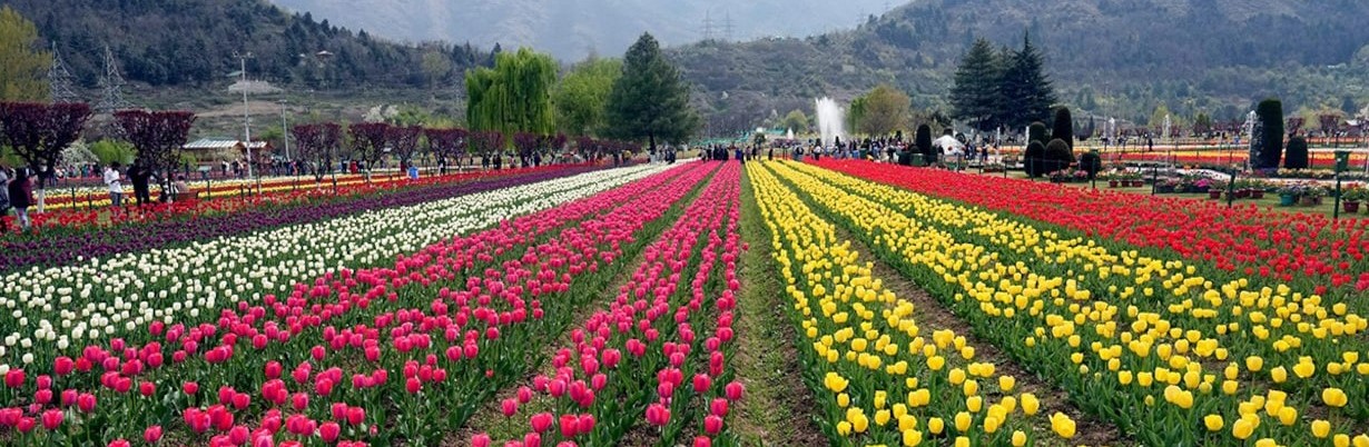 spring package